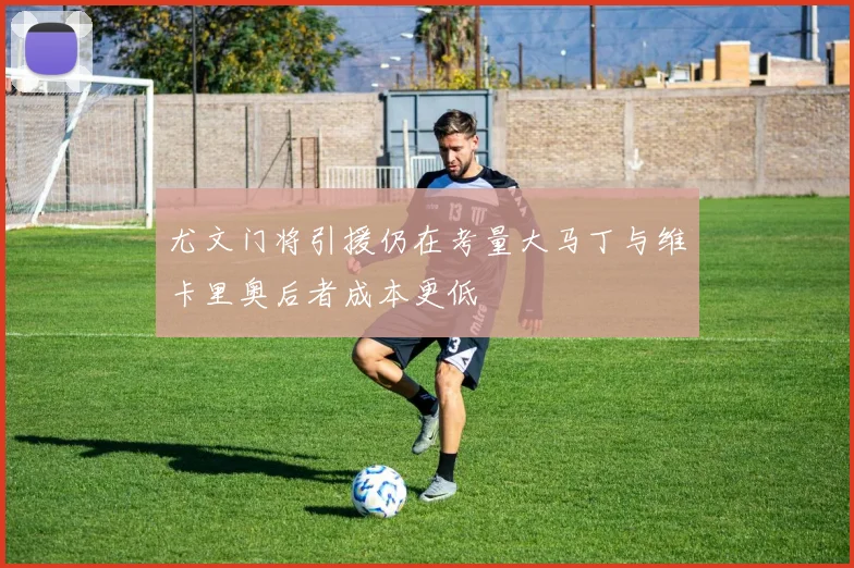 尤文门将引援仍在考量大马丁与维卡里奥后者成本更低