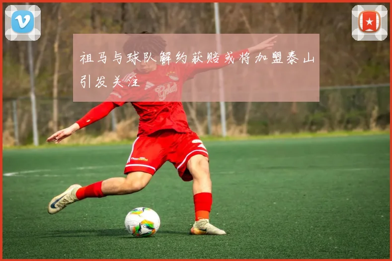 祖马与球队解约获赔或将加盟泰山引发关注